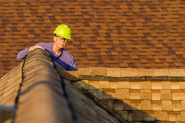 Best Storm Damage Roof Repair  in Gloucester Point, VA